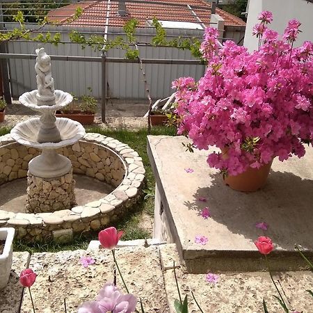 Casa De Elgo Apartment Balchik Ngoại thất bức ảnh